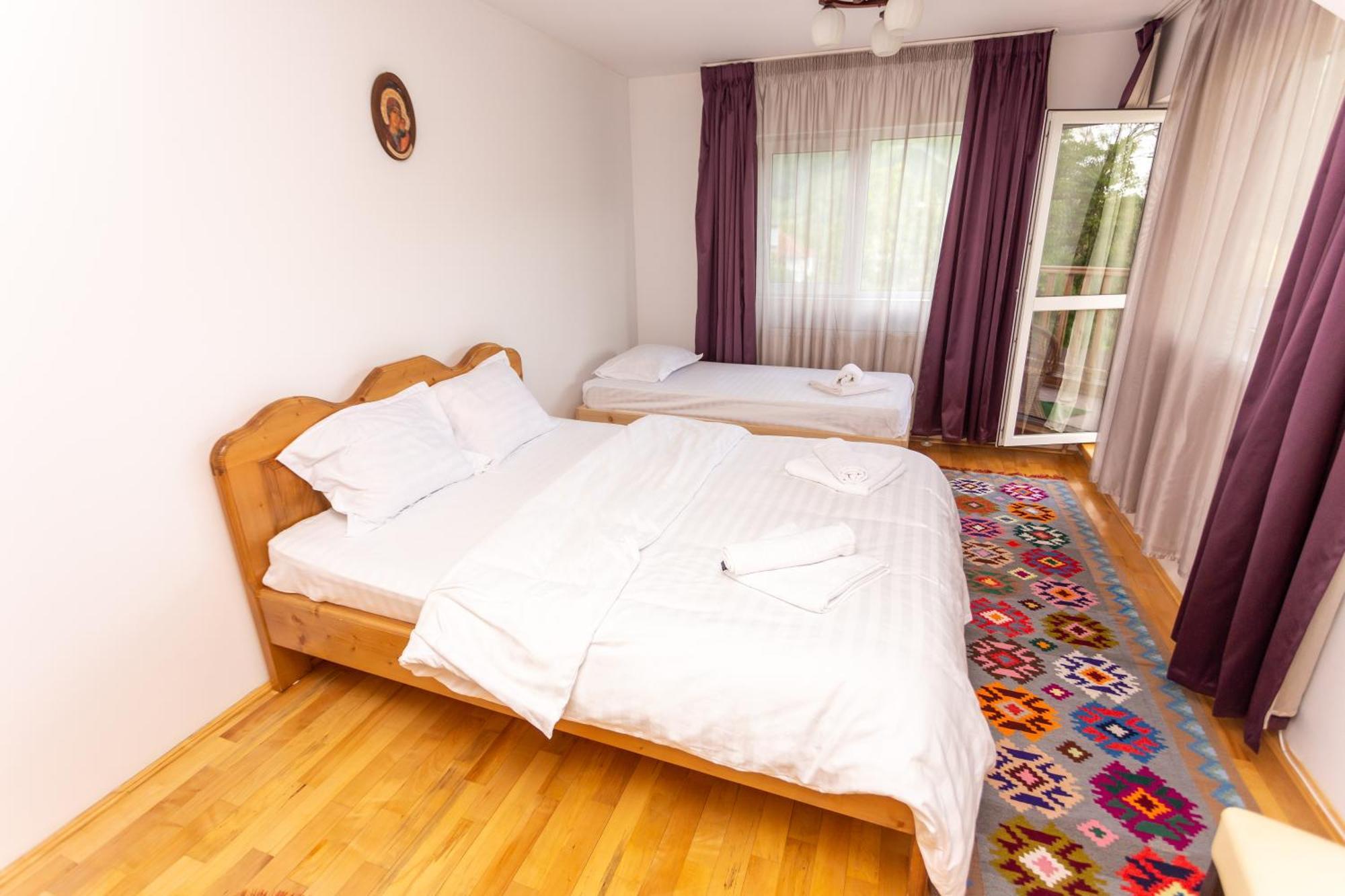 Casa Rumelia Villa Paltineni