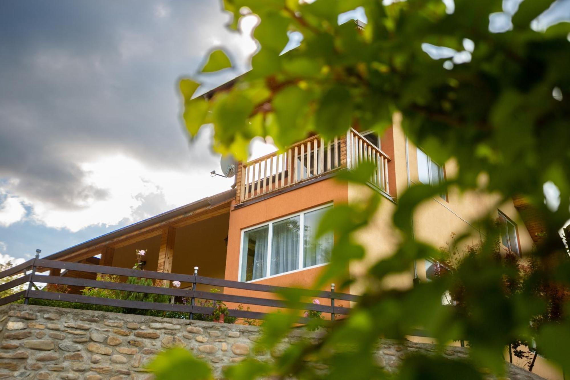 Casa Rumelia * Paltineni