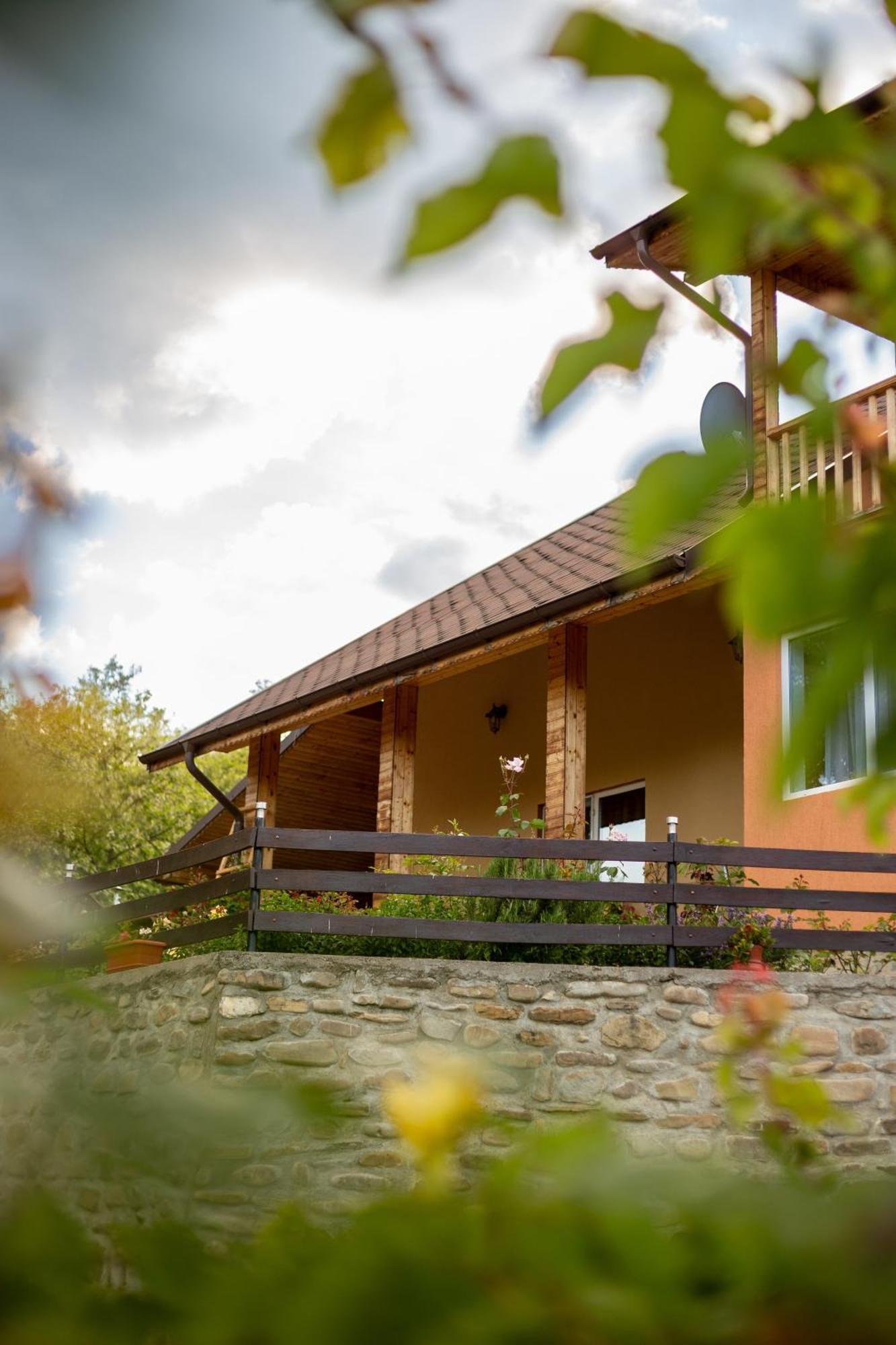 Villa Casa Rumelia Paltineni