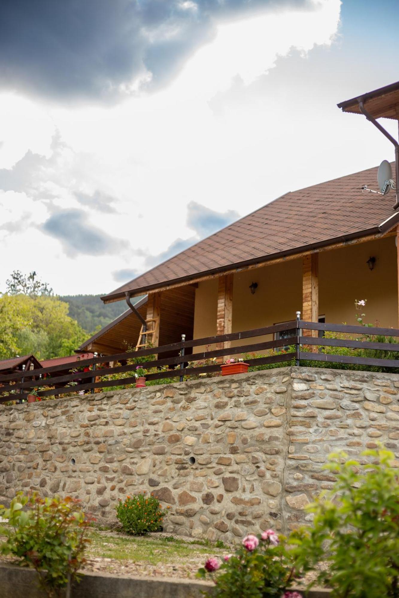 Casa Rumelia Paltineni
