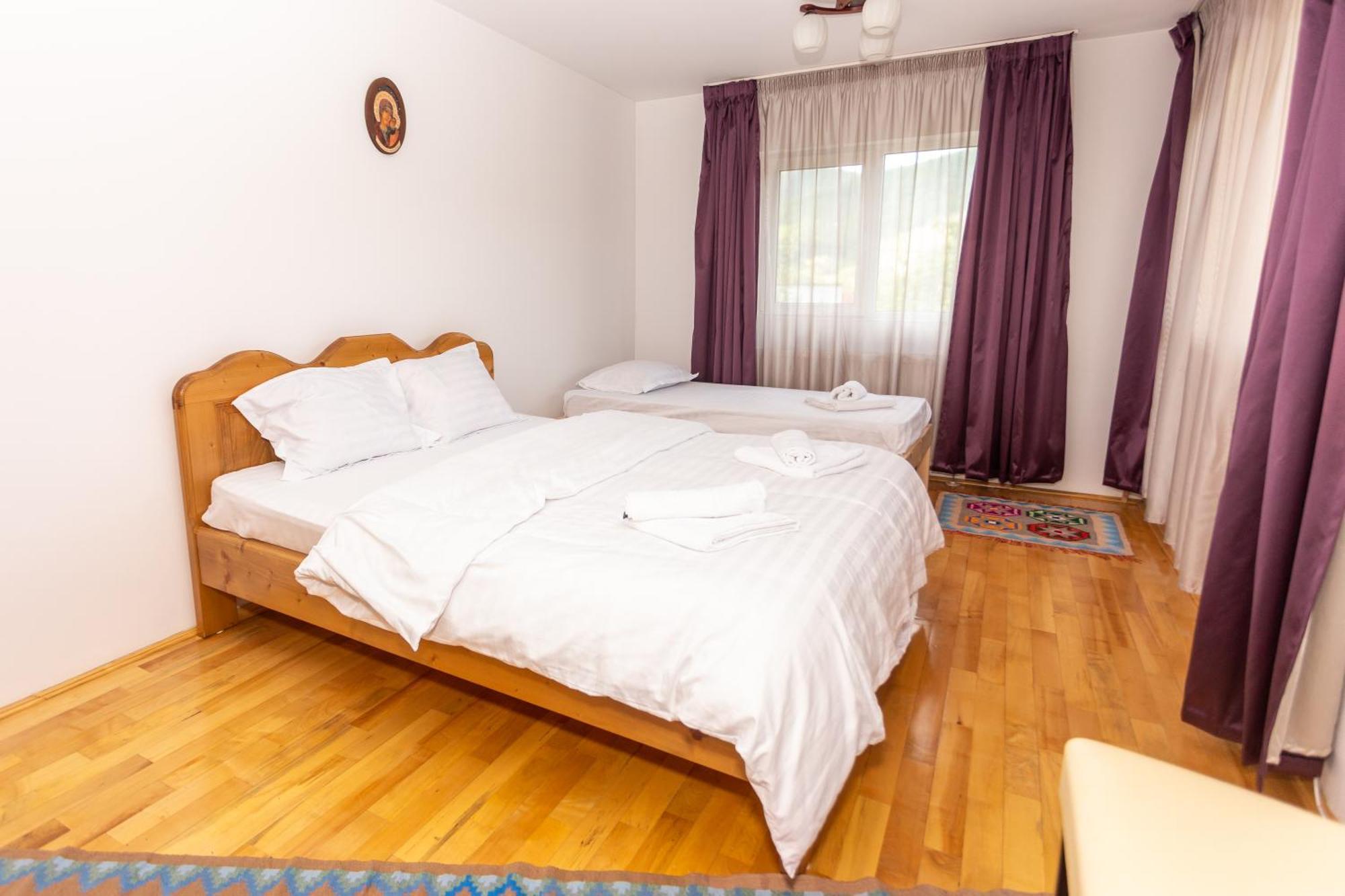 Casa Rumelia Villa Paltineni